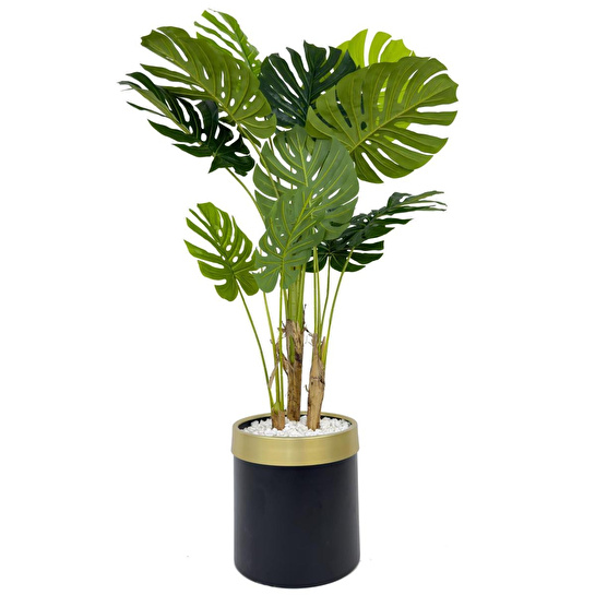 Biçiçek Monstera Ağacı 160cm Siyah Gold Metal Saksıda