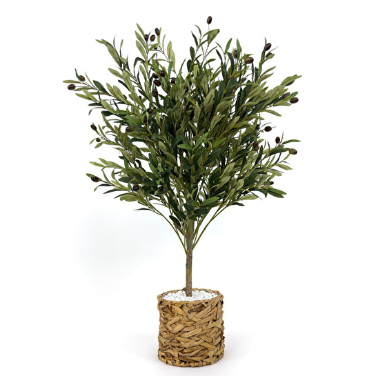 Biçiçek Zeytin Ağacı 100 Cm Hasır Bohem1 Saksıda