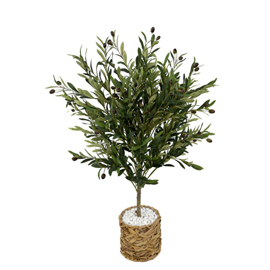 Biçiçek Zeytin Ağacı 100 Cm Hasır Bohem1 Saksıda