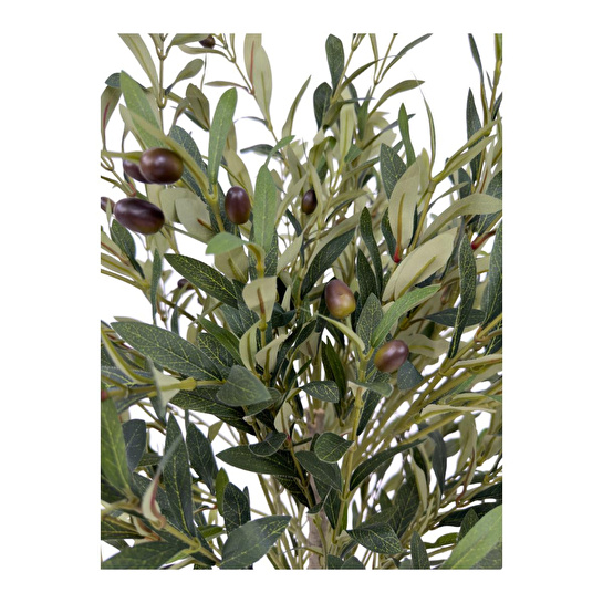 Biçiçek Zeytin Ağacı 100 Cm Hasır Bohem1 Saksıda