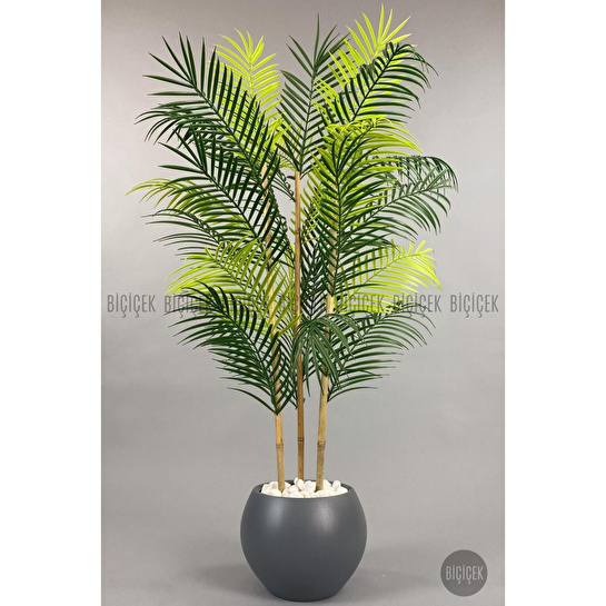 Biçiçek 120cm Areka Ağacı 24 Yapraklı Küre Saksıda 2