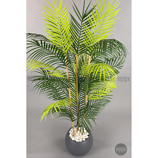 Biçiçek 120cm Areka Ağacı 24 Yapraklı Küre Saksıda 2