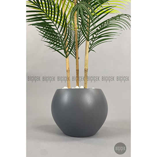 Biçiçek 120cm Areka Ağacı 24 Yapraklı Küre Saksıda 2