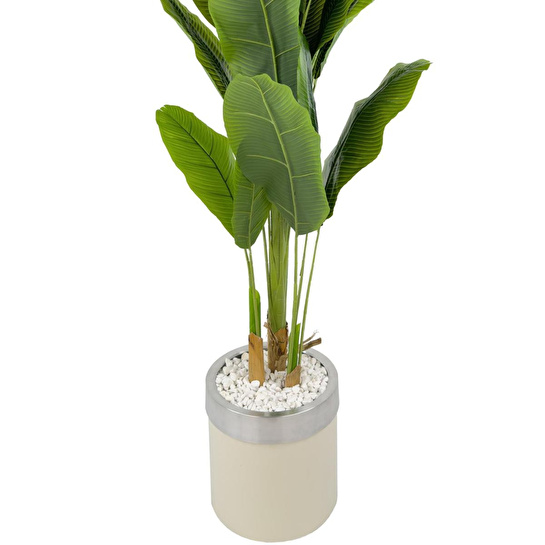 Biçiçek Muz Ağacı 200cm Krem Gümüş Metal Saksıda