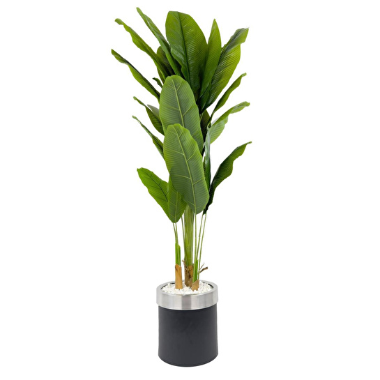 Biçiçek Muz Ağacı 200cm Siyah Gümüş Metal Saksıda