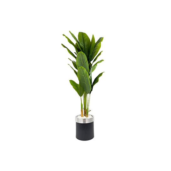 Biçiçek Muz Ağacı 200cm Siyah Gümüş Metal Saksıda