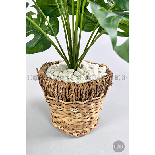 Biçiçek Yapay Monstera Deve Tabanı 65-70 Cm Hasir1