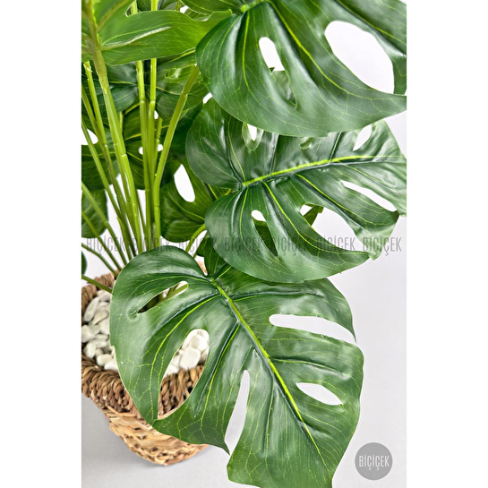 Biçiçek Yapay Monstera Deve Tabanı 65-70 Cm Hasir1