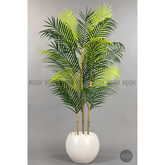 Biçiçek 120cm Areka Ağacı 24 Yapraklı Küre Saksıda 1