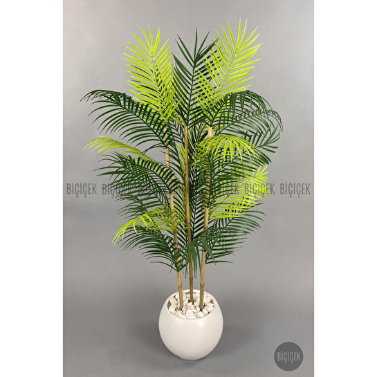 Biçiçek 120cm Areka Ağacı 24 Yapraklı Küre Saksıda 1