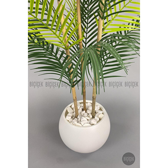 Biçiçek 120cm Areka Ağacı 24 Yapraklı Küre Saksıda 1