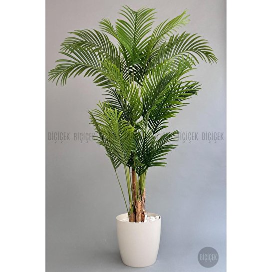 Biçiçek Yapay Areka Palmiyesi 200 Cm Kırıkbeyaz Yakut Saksıda