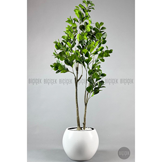 Biçiçek Yapay Manolya Ağacı 150-180cm Beyaz