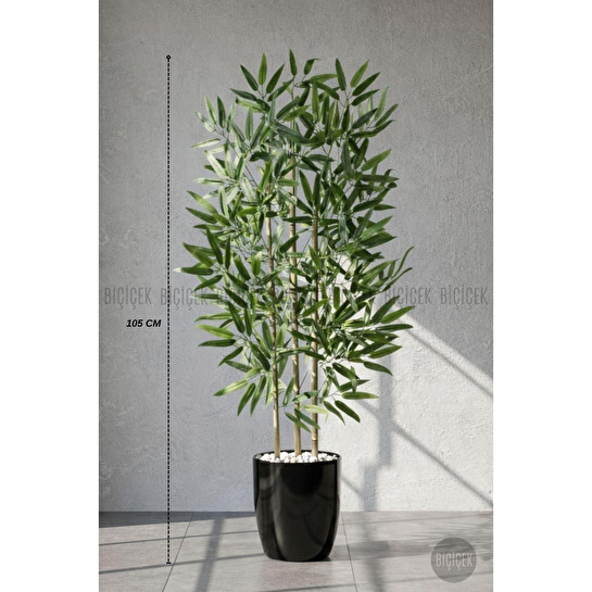 Biçiçek 110 Cm Bambu Ağacı Yakut Saksıda Siyah