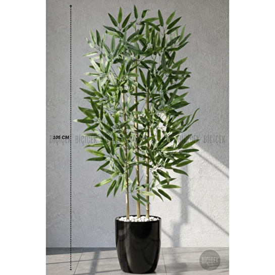 Biçiçek 110 Cm Bambu Ağacı Yakut Saksıda Siyah