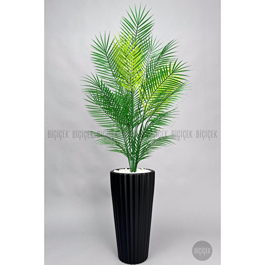 Biçiçek 180 Cm Areka Ağaci 24 Yaprakli Li̇lyum Saksida Siyahlilyum