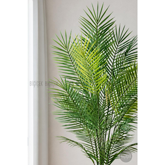 Biçiçek 180 Cm Areka Ağaci 24 Yaprakli Li̇lyum Saksida Siyahlilyum