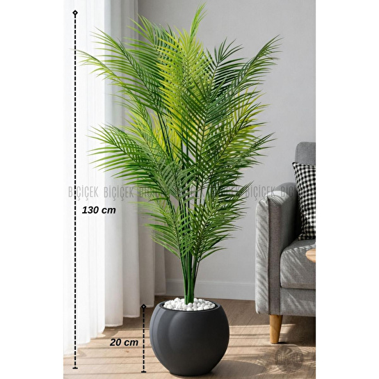 Biçiçek Areka Ağaci 24 Yaprakli 130 Cm Küre Saksida Antrasi̇t