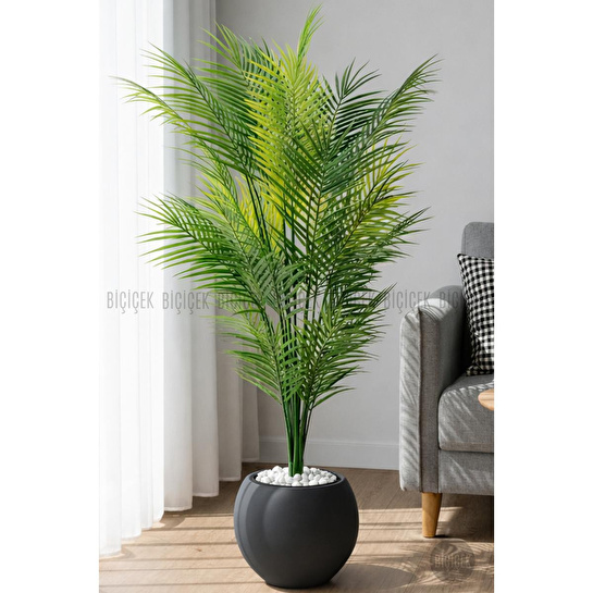 Biçiçek Areka Ağaci 24 Yaprakli 130 Cm Küre Saksida Antrasi̇t