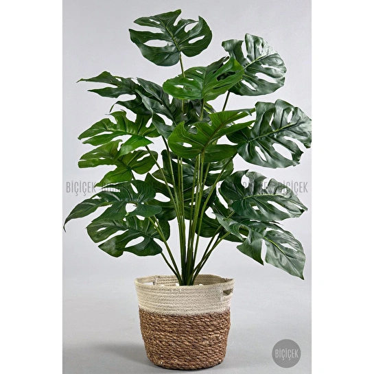 Biçiçek Yapay Monstera Deve Tabanı 65-70 Cm Hasir3