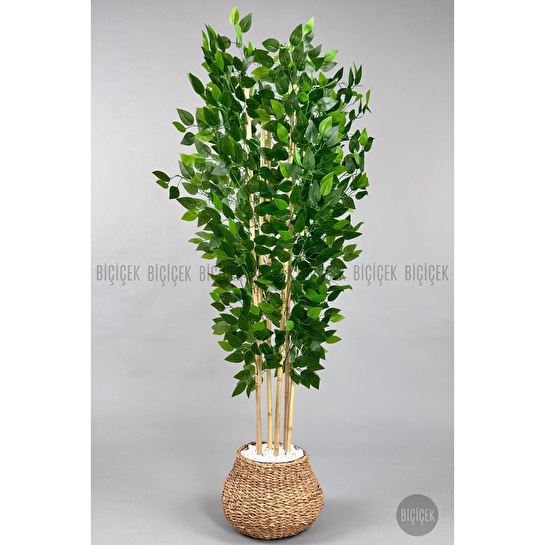 Biçiçek Yapay Benjamin Ağacı 170cm Hasır Geoit Saksıda