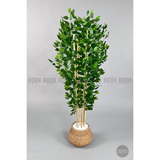 Biçiçek Yapay Benjamin Ağacı 170cm Hasır Geoit Saksıda