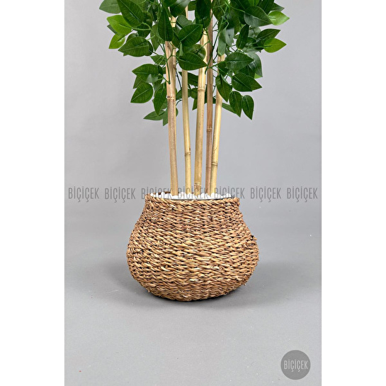 Biçiçek Yapay Benjamin Ağacı 170cm Hasır Geoit Saksıda
