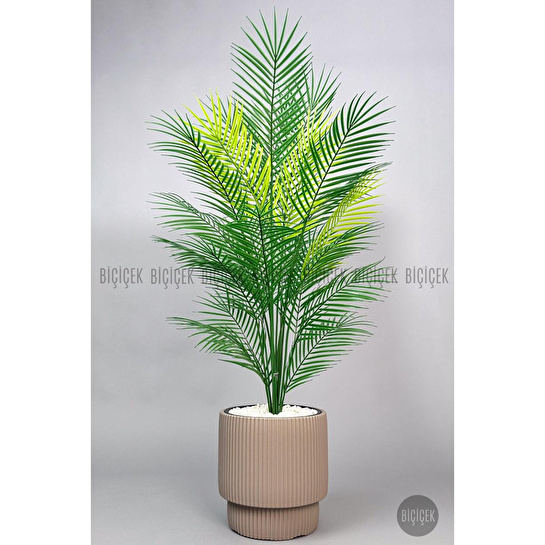 Biçiçek Areka Ağaci 24 Yaprakli 120-130 Cm Kahverengi