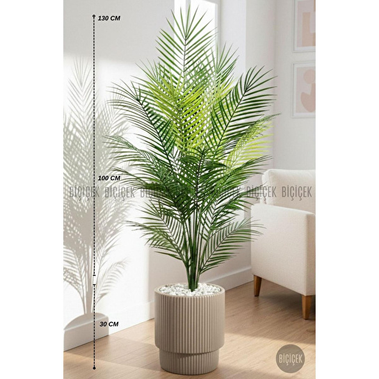 Biçiçek Areka Ağaci 24 Yaprakli 120-130 Cm Kahverengi