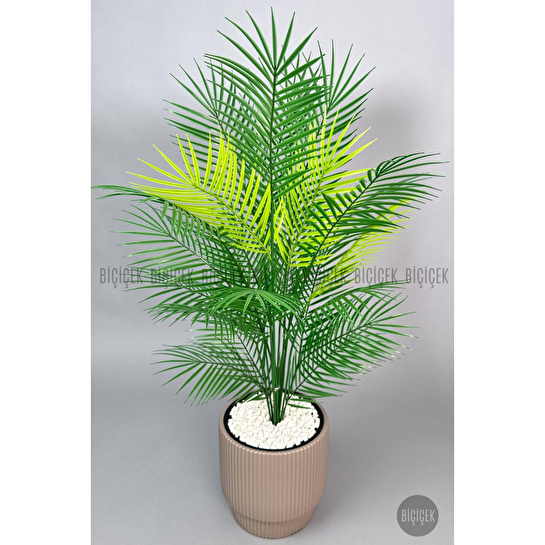 Biçiçek Areka Ağaci 24 Yaprakli 120-130 Cm Kahverengi