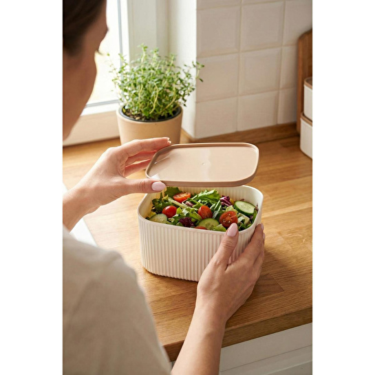 Vienev 8'li Çizgili Kare Saklama Kabı Seti Bej - Mikrodalga Ve Derin Dondurucu Uyumlu