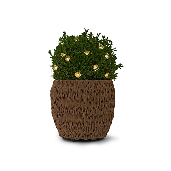 Tchibo Led’li Işık Zinciri, Çiçekler