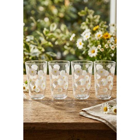 Rakle Fiona 4'lü Meşrubat Bardağı Seti 395 Cc