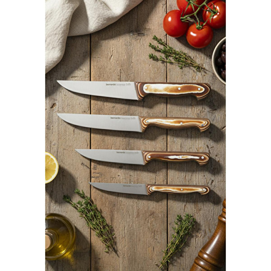 Bernardo Arcos Takozlu Bıçak Seti