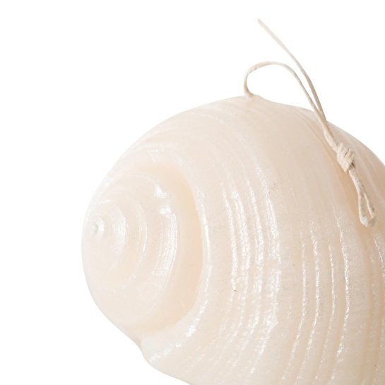 Mudo Home Deni̇z Kabuğu Mum 11x9cm