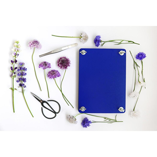 Printworks Kit - Çiçek Kurutma Seti