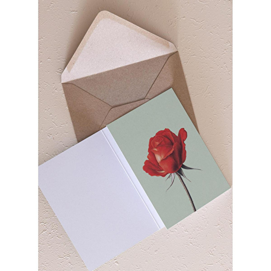 The Mia Art Line Mini Tebrik Kart Seti Rose 10 X 14 Cm