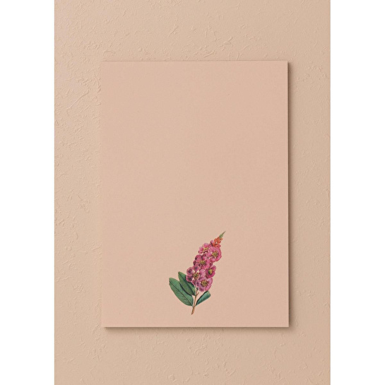 The Mia Art Line Mini Notluk Prelude 15 X 21 Cm 40 Yaprak