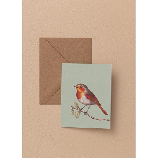 The Mia Art Line Mini Tebrik Kart Seti Robin 9x12 Cm