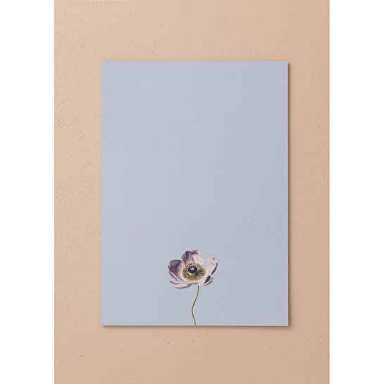 The Mia Art Line Mini Notluk Anemone 21x30 Cm 40 Yaprak