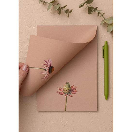 The Mia Art Line Mini Notluk Coneflower 15x21 Cm 40 Yaprak