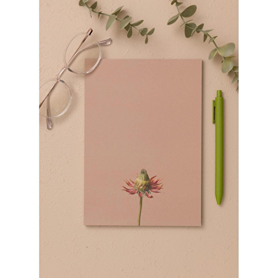 The Mia Art Line Mini Notluk Coneflower 15x21 Cm 40 Yaprak