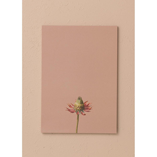 The Mia Art Line Mini Notluk Coneflower 15x21 Cm 40 Yaprak