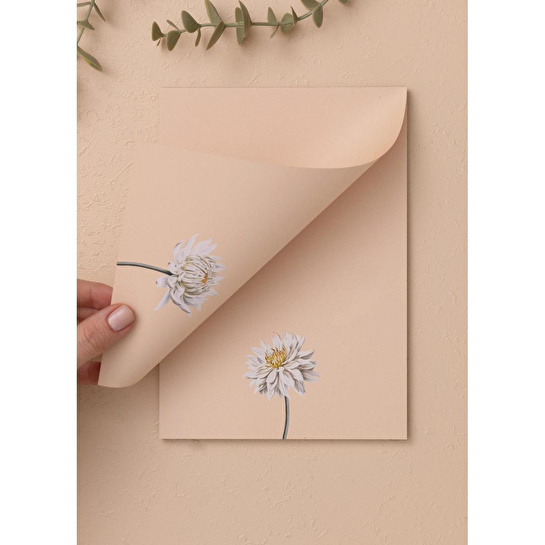 The Mia Art Line Mini Notluk Dahlia 15 X 21 Cm 40 Yaprak