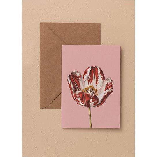 The Mia Art Line Mini Tebrik Kart Seti Tulip10 X 14 Cm