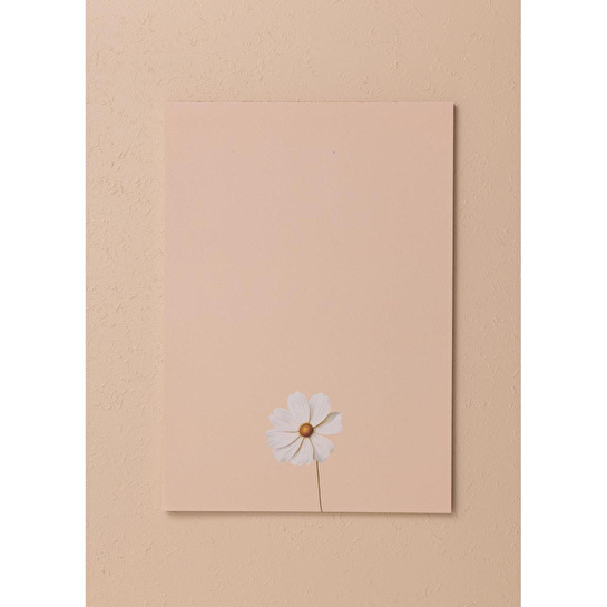 The Mia Art Line Mini Notluk Cosmea 21x30cm 40 Yaprak