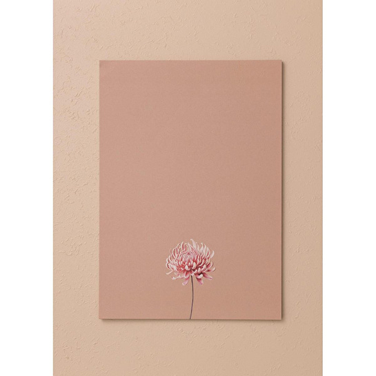 The Mia Art Line Mini Notluk Chrysanthemum 21x30cm 40 Yapr