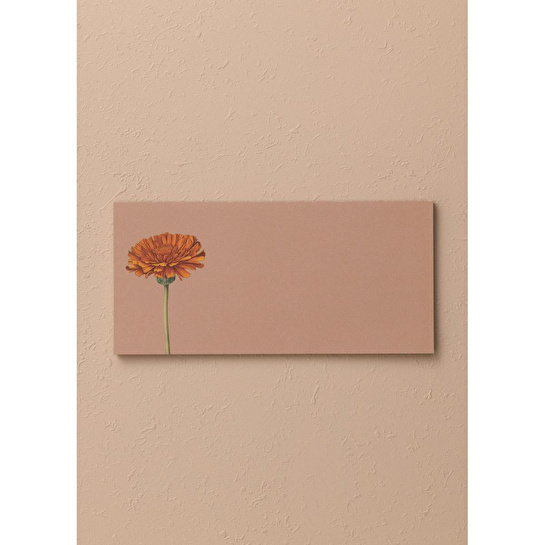 The Mia Art Line Mini Notluk Marigold 10 X 21 Cm 40 Yaprak
