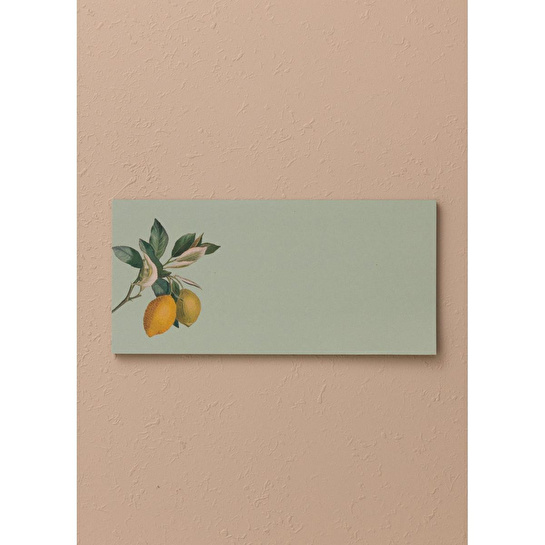 The Mia Art Line Mini Notluk Hangover 10 X 21 Cm 40 Yaprak