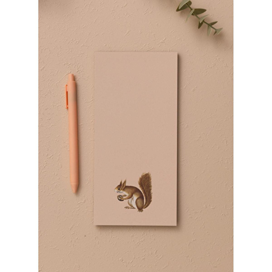 The Mia Art Line Mini Notluk Squirrel 10 X 21 Cm 40 Yaprak